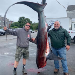 Massive Shark Fishing In Massachusetts