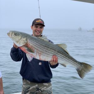 Large Striper Fishing In Massachusetts