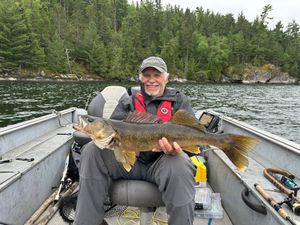 Limit-Filling Walleye Action on the Water