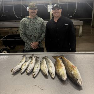 Matagorda Spring Fishing: Topwater Action Heating Up