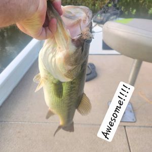 Built on a Passion for Fishing on Lake Fork