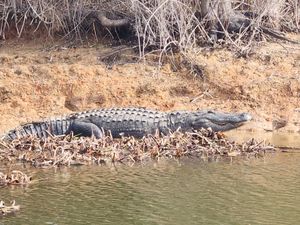 Lake Fork Fishing with a Trusted Partner