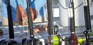 Master the Mangroves: Personal Inshore Coaching