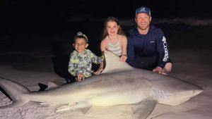 Navarre Beach Shark Fishing: The Ultimate Shore Guide