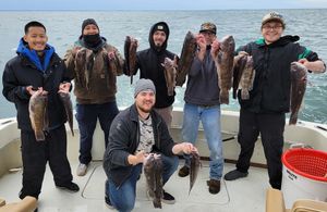 Late-season moments on Long Island Sound.