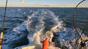 Closing the Year Strong and Ready for Striper Season