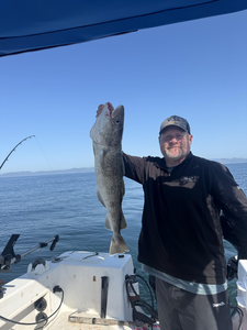 Sooke Salmon Adventure: Offshore Techniques with Top-Rated Charter