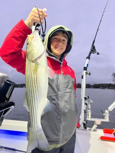 Striped Bass caught in Lake Murray