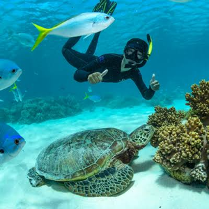 Beneath the Waves: A Captivating Snorkeling Odyssey in Greece