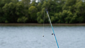 Reel Adventure Awaits: A Thrilling Fishing Trip in Indianapolis