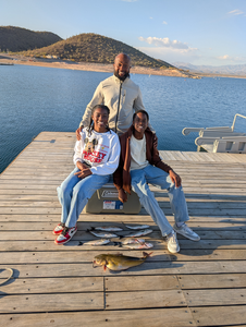 Reeling in Inshore Thrills: A Sooty Grunter and Ladyfish Adventure