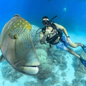 Underwater Odyssey: Exploring the Vibrant Florida Keys Reefs