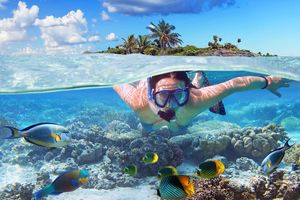 Serene Underwater Exploration: A Snorkeling Adventure