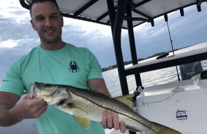 All About Snook Fishing!