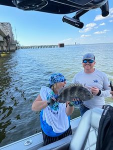 Biloxi Fishing Charters: Your Ticket to Adventure!