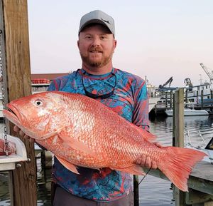 Red Snapper in Gulfport, MS