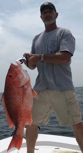 Red Snapper in Mississippi