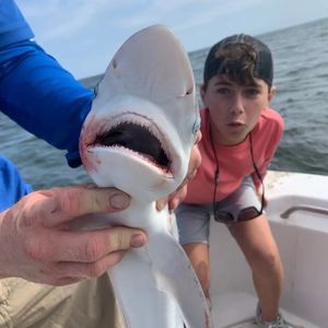 Charter fishing in Mississippi Gulf Coast