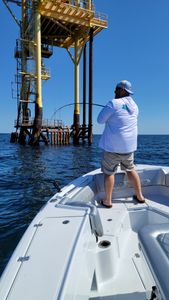 Deep sea fishing Biloxi Gulfport	