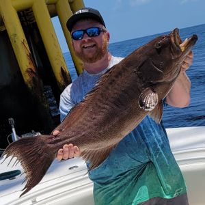 Grouper Fishing from Mississippi 