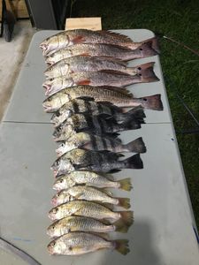 Top Fishing Charters in Biloxi, MS