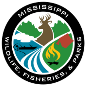 Mississippi Fishing License Information for Travelers and Anglers