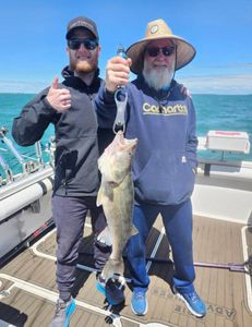 Another limit, walleye