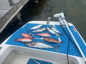 Solid Gulf Action with the Mississippi Crew