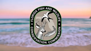Florida Fishing License