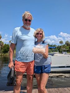 Scallop 
