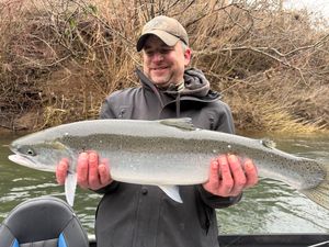 Really good steelhead fishing