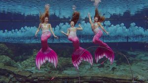 Family Fun and Local Favorites Near the Coast