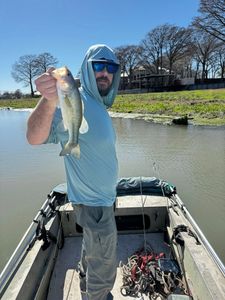 Lake McQueeney Mixed Bag Fishing Is Heating Up