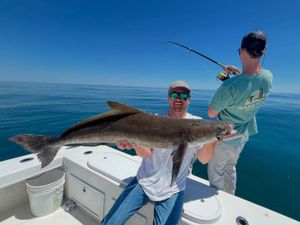 Big Numbers and Bigger Moves: Final Run Before the Grind