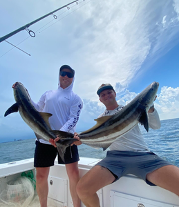 Fishing Report In Chesapeake Bay