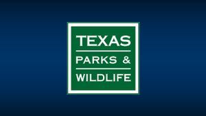 Texas Fishing License