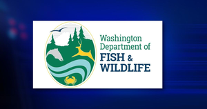 Washington Fishing License
