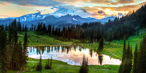 Things To Do in Washington