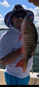 Stormy Skies, Hot Bite with the Godwin Family