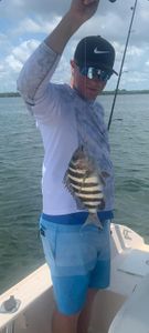 Nonstop Action with the Morrison Family