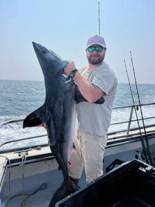 Porbeagle Success and Plenty of Whiting Action