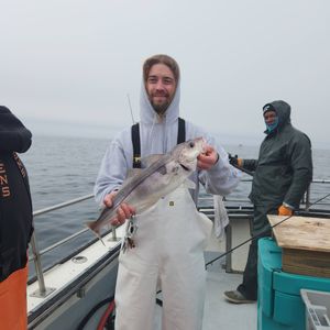 Quality haddock and big redfish to finish strong