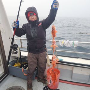 Solid redfish and cusk action with big catches