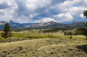 Things To Do In Dubois WY