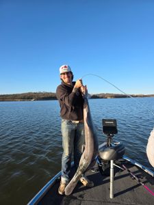 Paddlefish report
