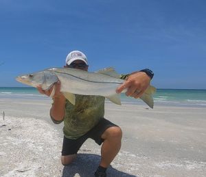 Snook Delight, Clearwater's Pride