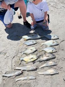 Bountyful Florida Pompano At Clearwater, FL  
