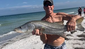 Angler's Snook Triumph Clearwater, FL