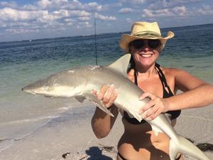 Shark Fishing At Clearwater, FL