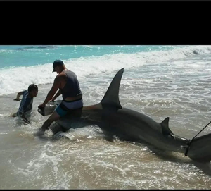 Jensen Beach Fishing